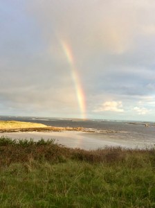 GFh3grfdTqm42wET49RiOQ_thumb_2655