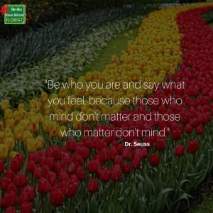 ab9a86b2-a4e2-4d92-a8e2-5381cf36ee6c