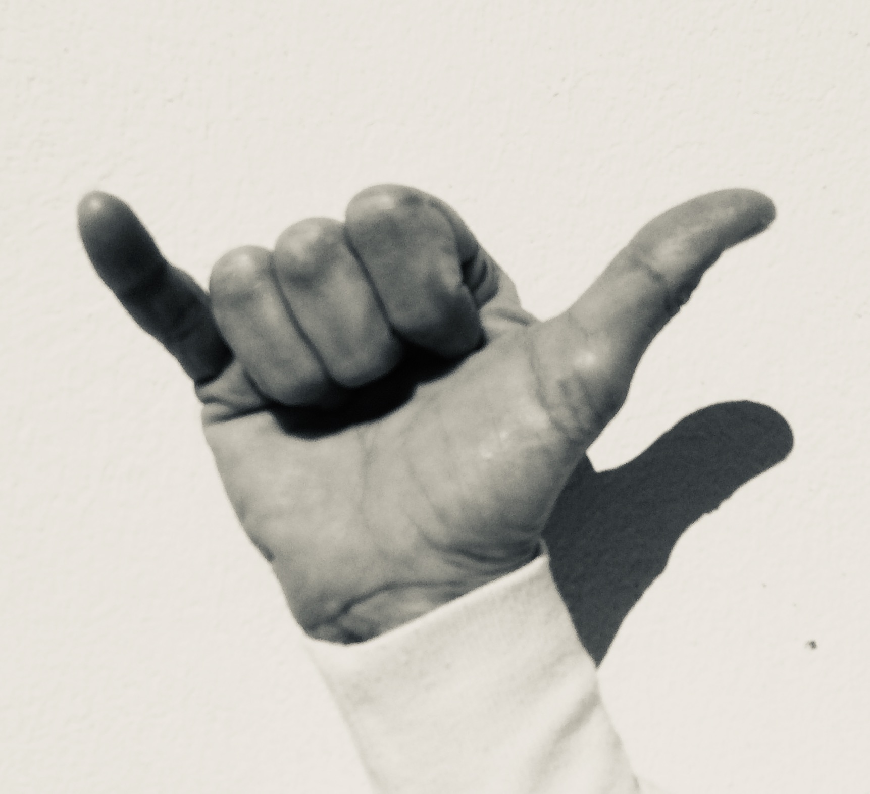 509F1FEF-35EC-4F4D-8935-1B84CDFFDC32_1_201_a