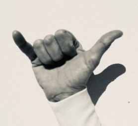 509F1FEF-35EC-4F4D-8935-1B84CDFFDC32_1_201_a