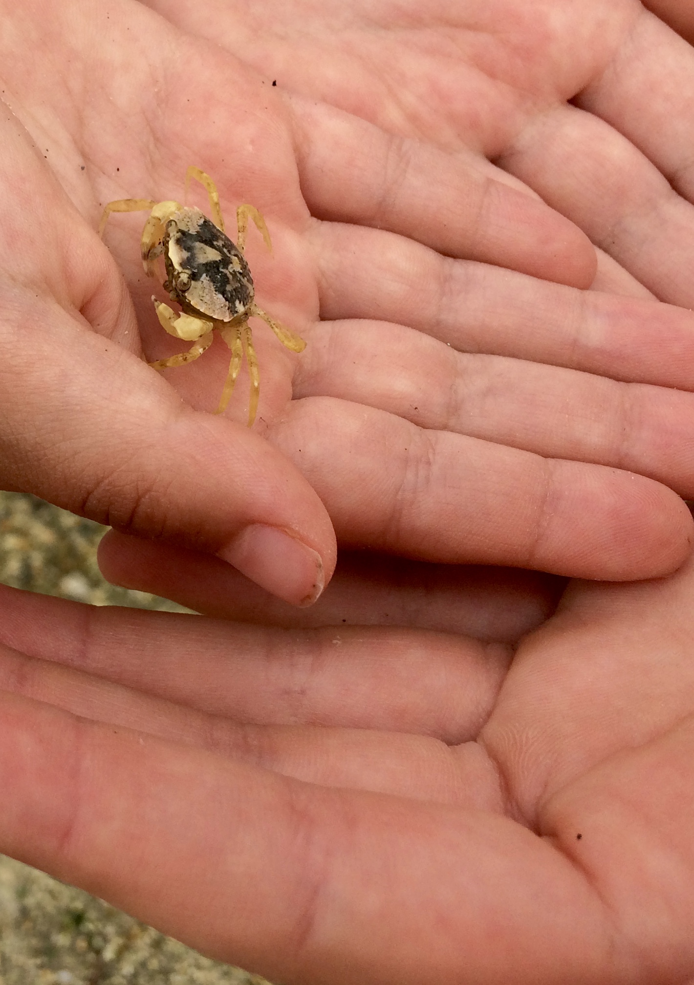 42091A9F-CC3D-482C-97E3-6B4767AD4D86_1_201_a