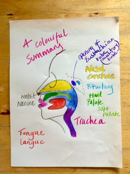 1BD76463-917C-4B78-A53E-C85CC49947B1_1_201_a