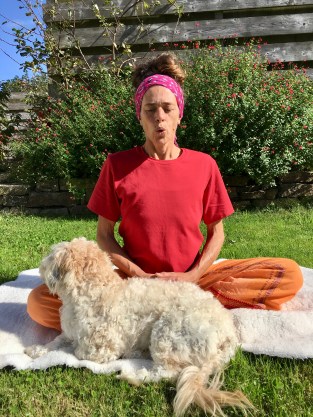 5A5587CC-FE2A-4EF9-9A5B-D6D5F34F90FB_1_201_a