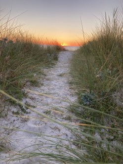 42F7B1AB-2EDF-4626-837B-F094B4EF9008